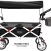 Creative Outdoor Push Pull Wagon with Canopy